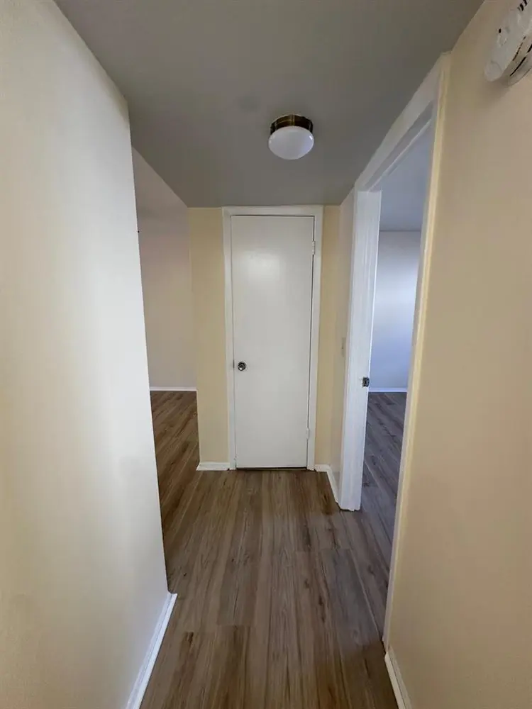 Beautiful 1-bedroom in Clearwater