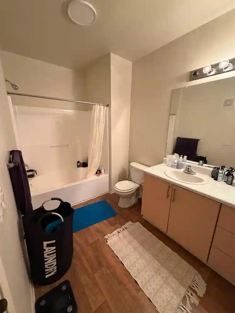 Roommate for Master bedroom,