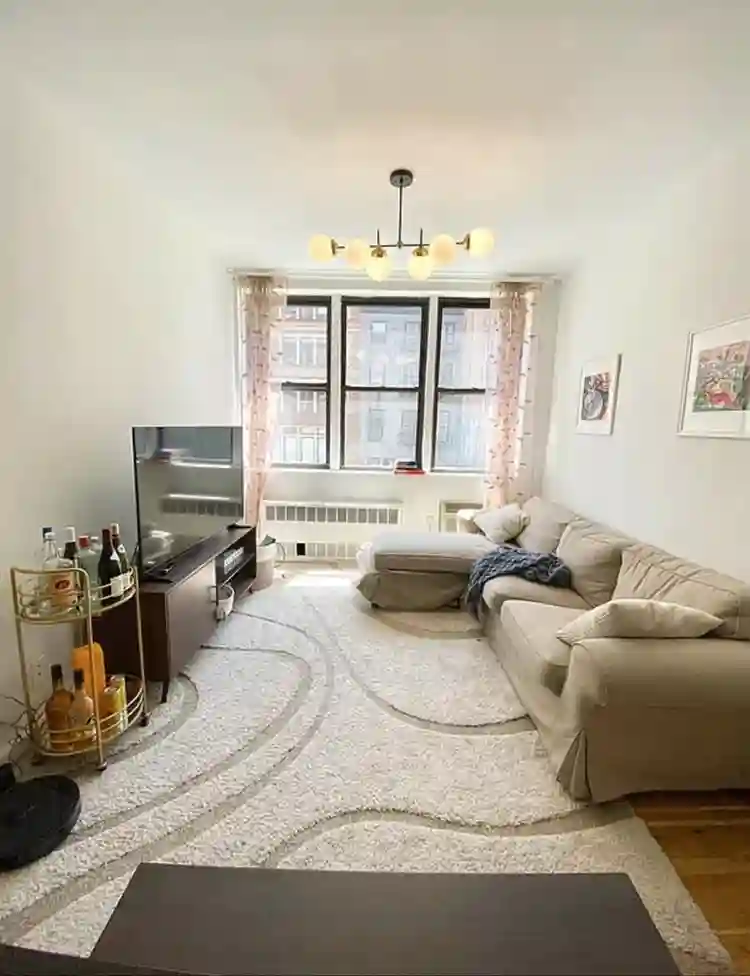 Fully Furnished 1-Bedroom Apartment