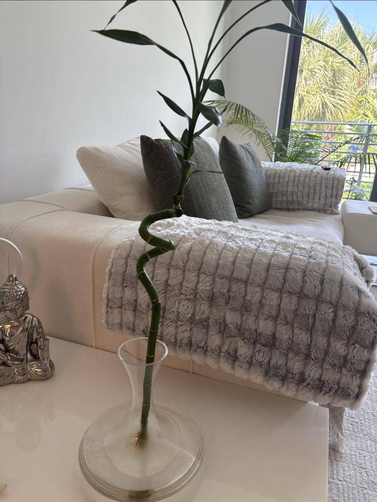 ✨ Female Roommate MIMO $950/month