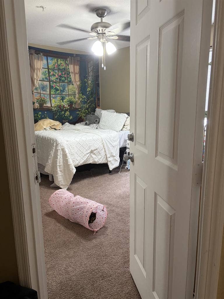 UCF off campus housing