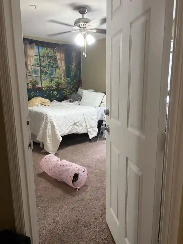 UCF off campus housing