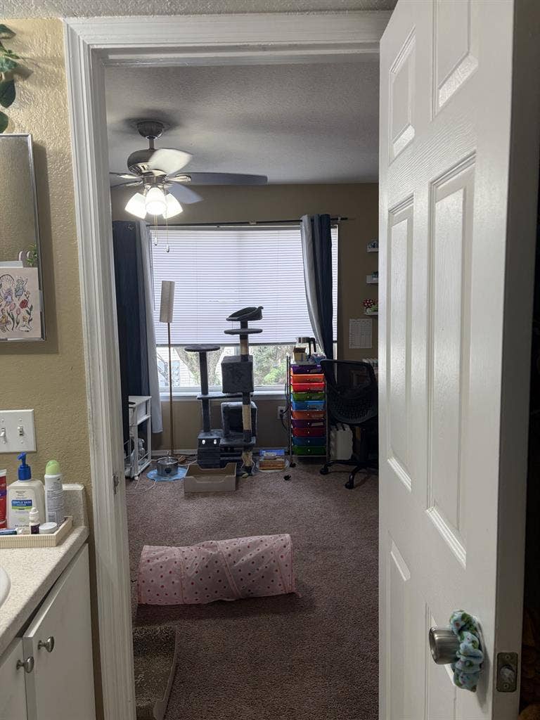 UCF off campus housing