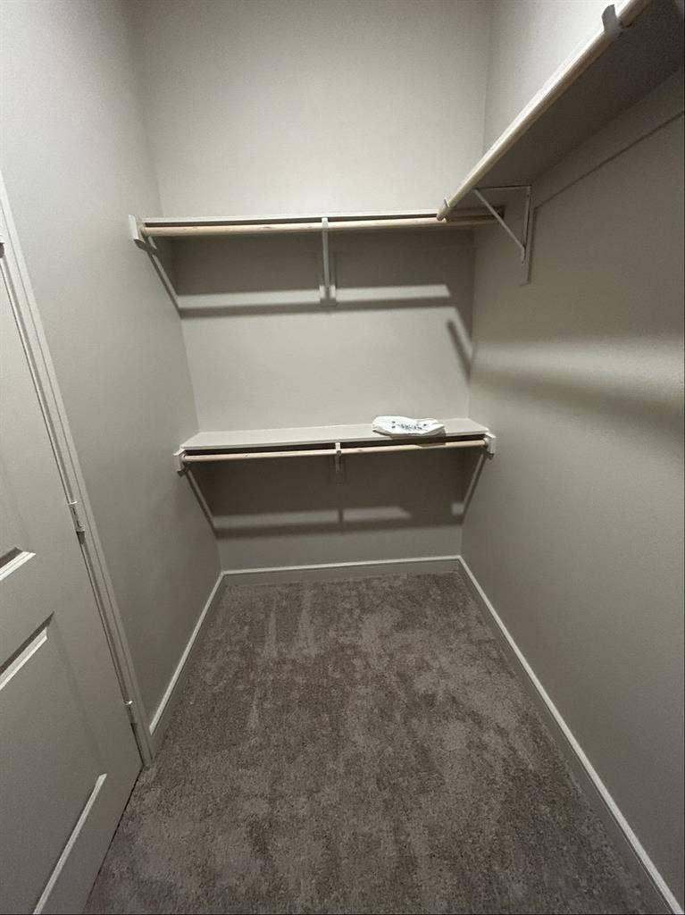 Looking for roommate