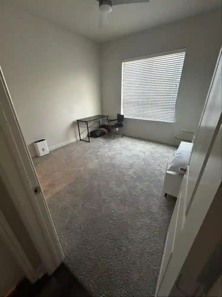Looking for roommate
