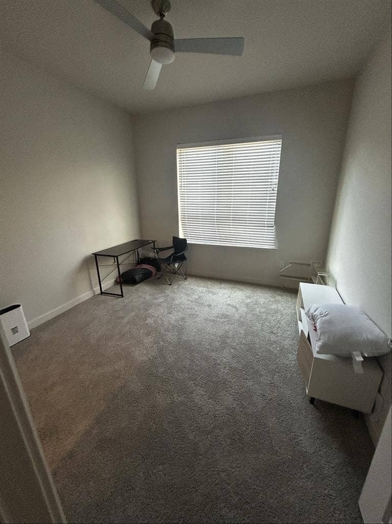 Looking for roommate