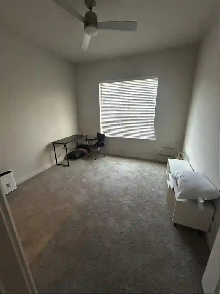 Looking for roommate