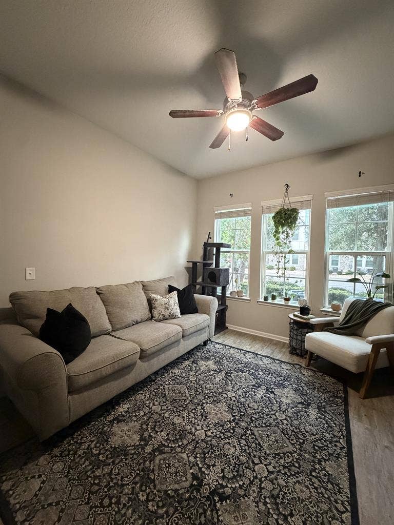 New Listing