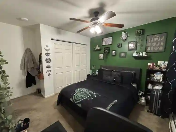 Looking for roommate in Morristown!