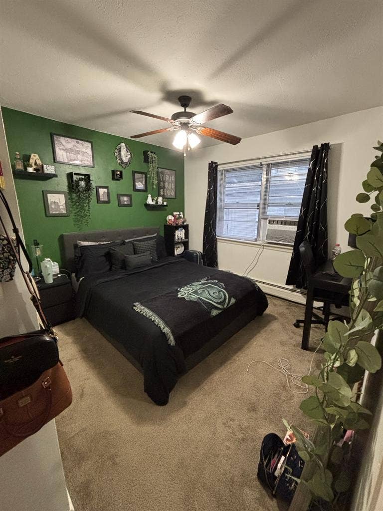 Looking for roommate in Morristown!