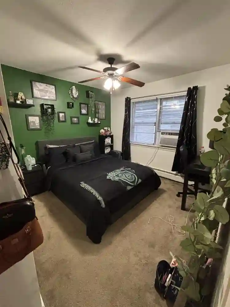 Looking for roommate in Morristown!