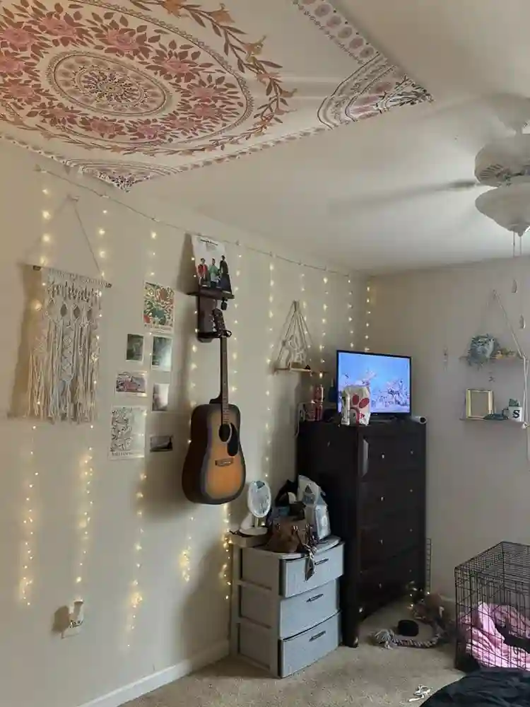 Roomate wanted