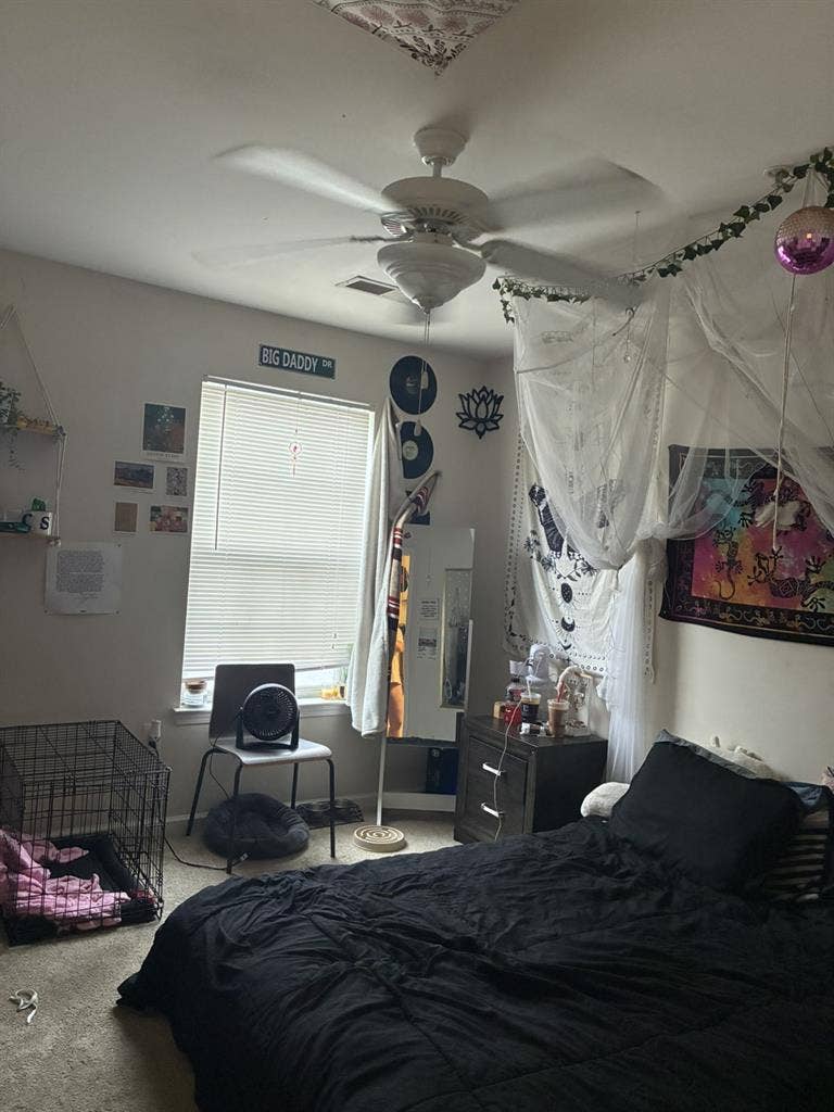 Roomate wanted