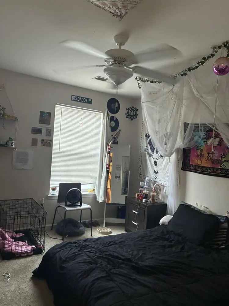 Roomate wanted