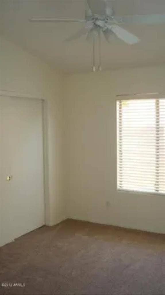 Roommate Wanted