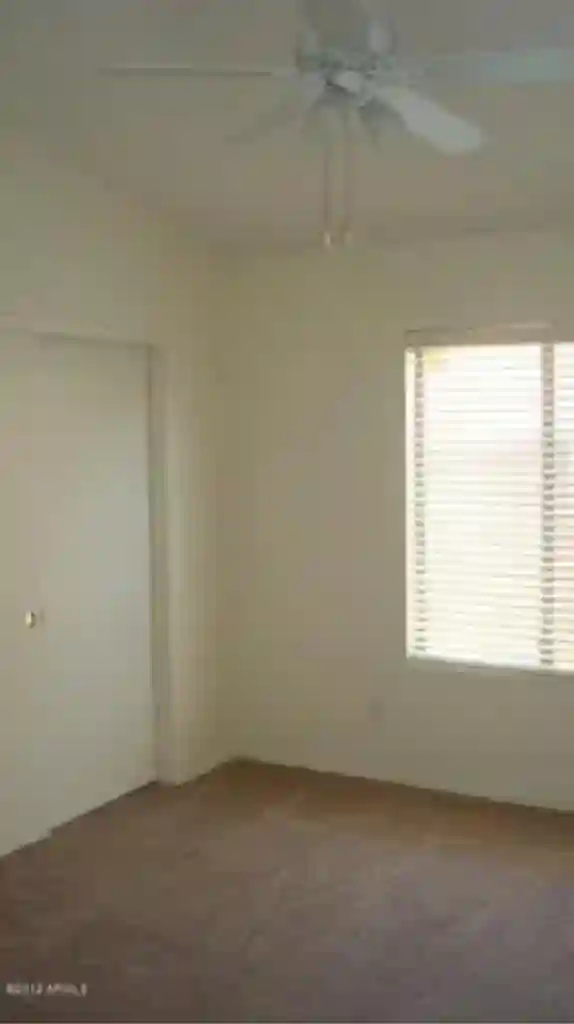 Roommate Wanted