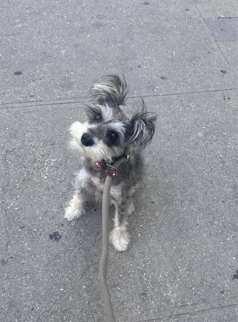 Private Room Available | Bushwick