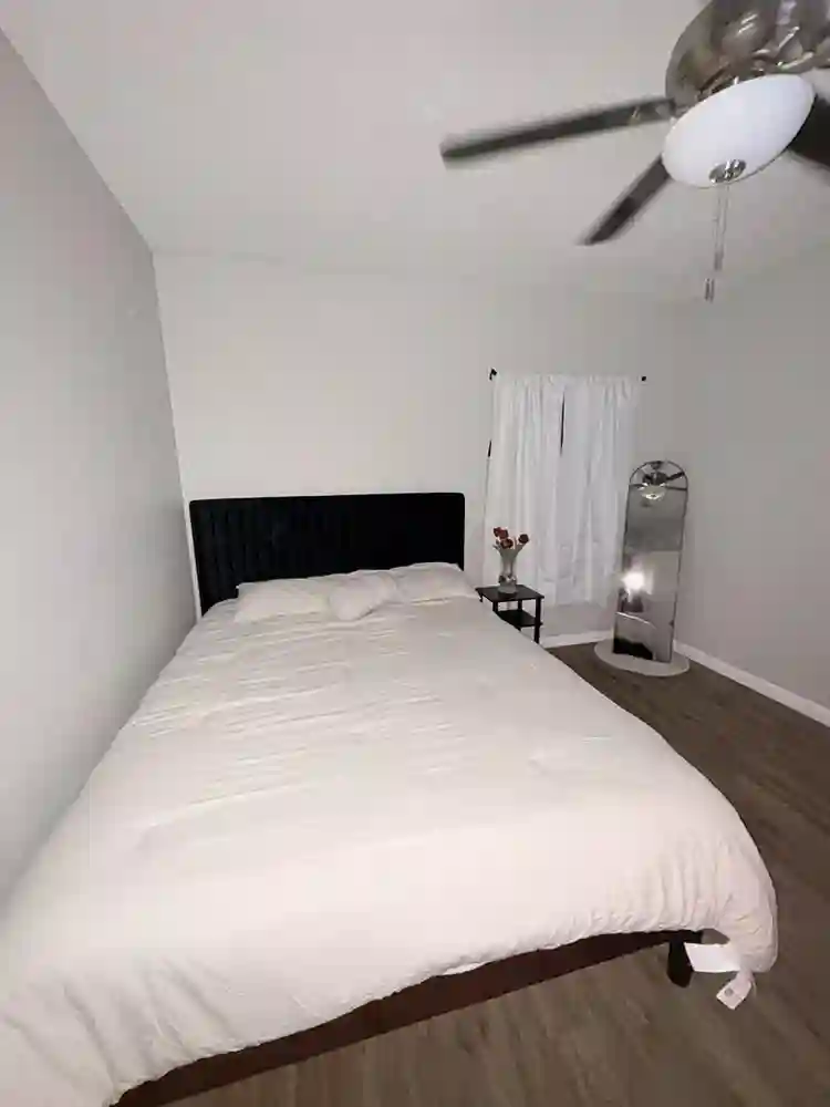 Looking for a female roommate