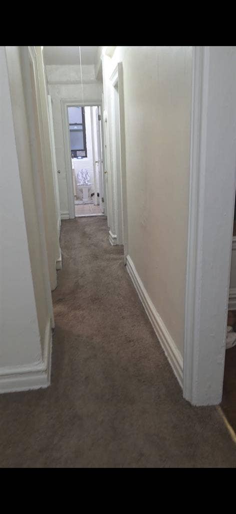 Looking for a Roommate (oct 1st)
