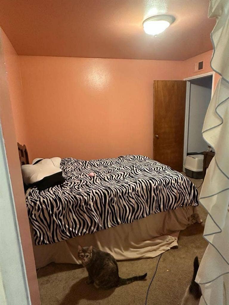 Room available Nov 1st! ✨