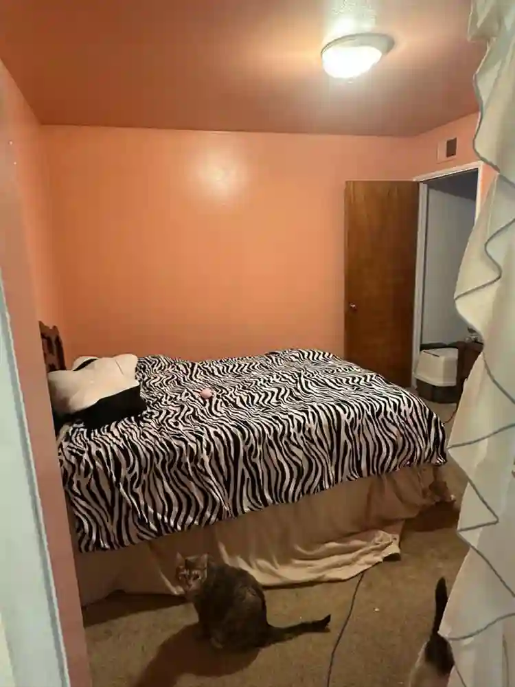 Room available Nov 1st! ✨