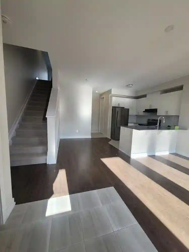 Basement Available for rent!
