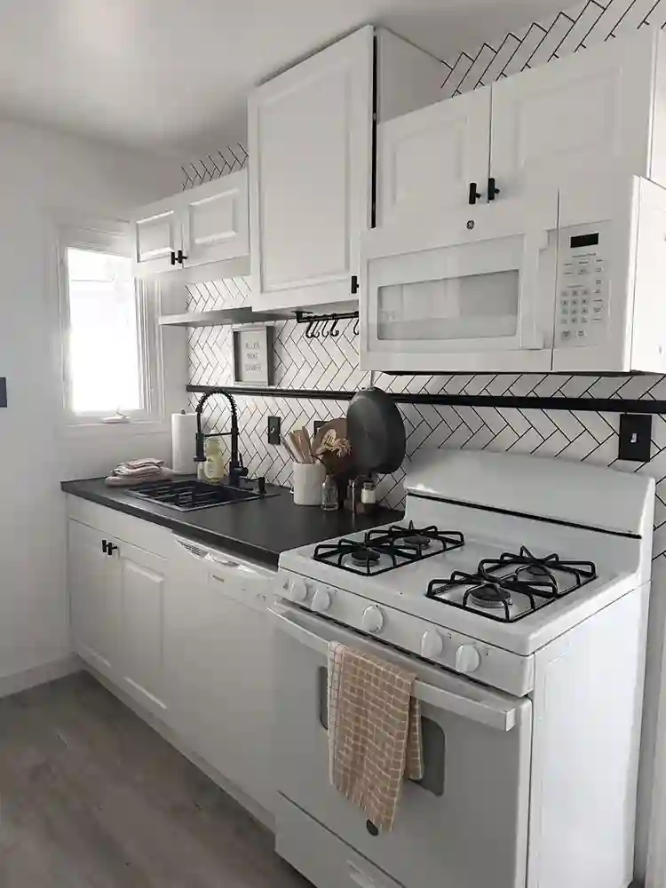Female Roomie Wanted