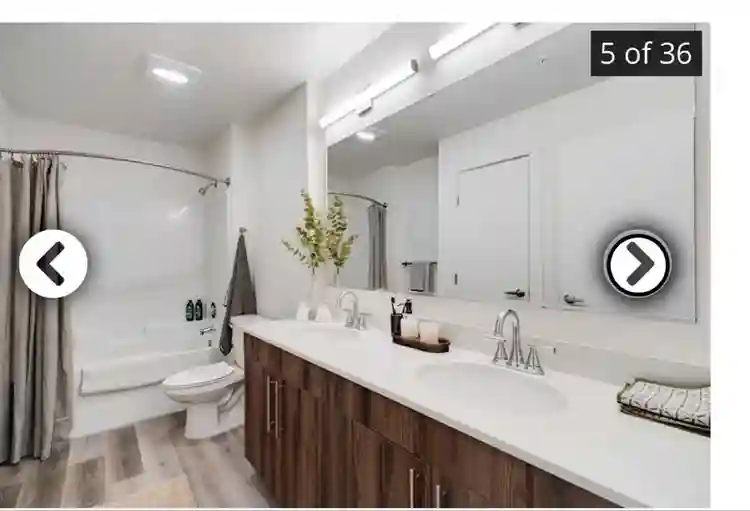 Luxury apartment
