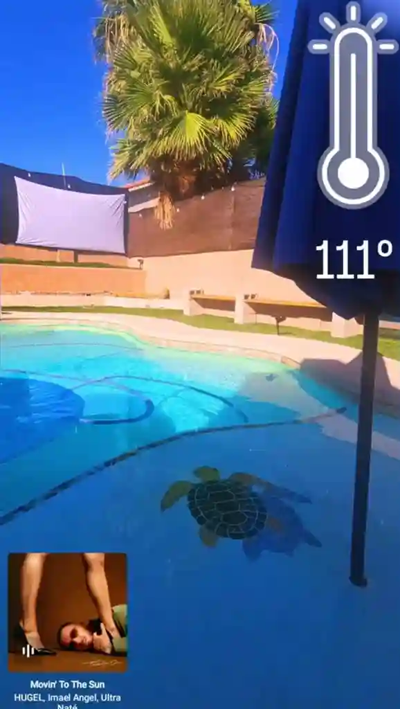 Room for rent in House with Pool