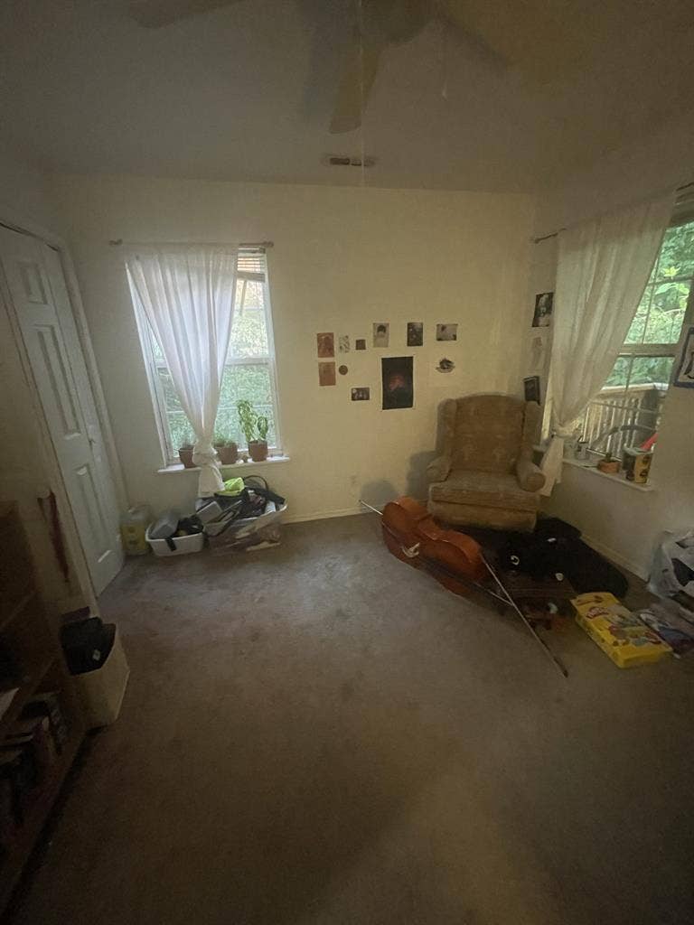 28 year old with 2 cats
