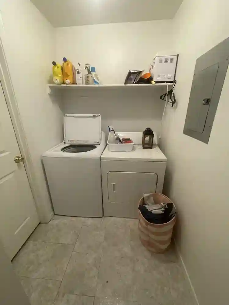28 year old with 2 cats