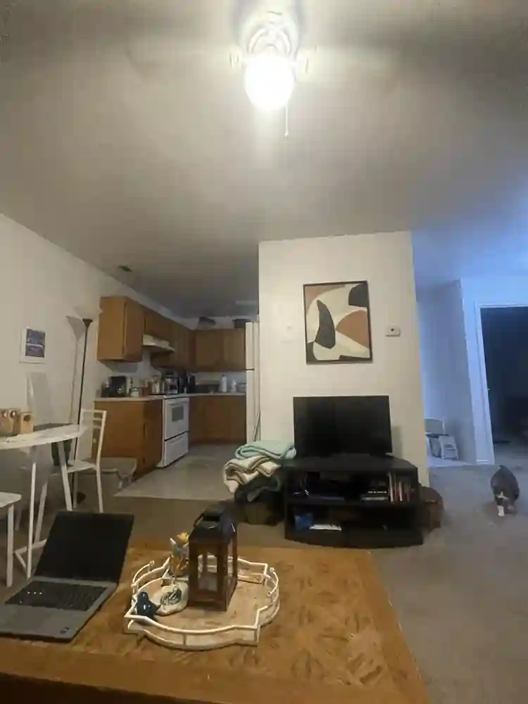 28 year old with 2 cats