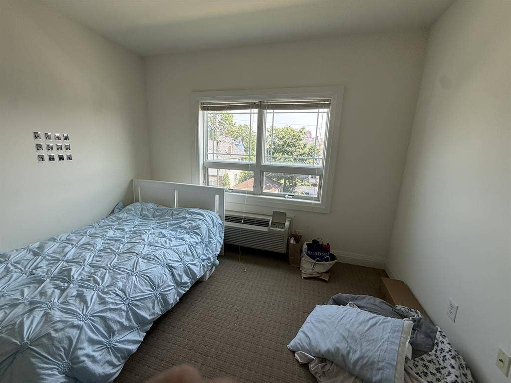 Rutgers Undergrad Student Roomate