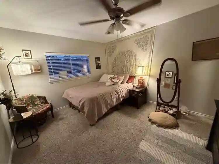 Christian F Roomie Wanted in Spring