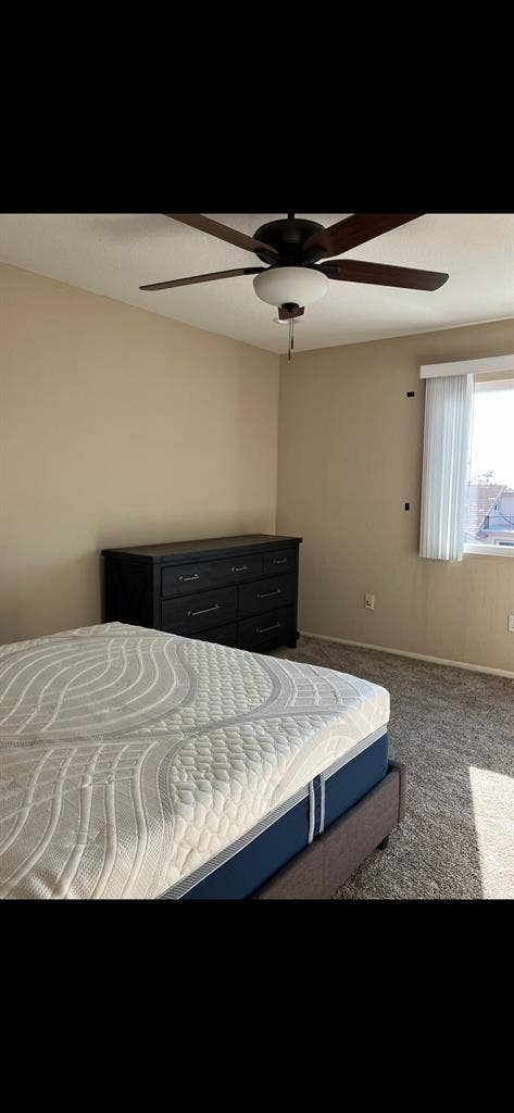 Nice room for rent