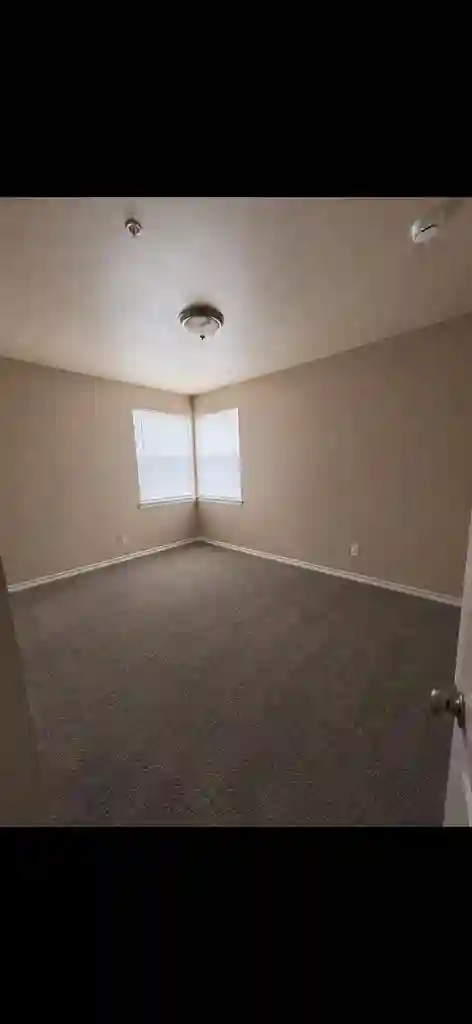 Looking for a roomate!