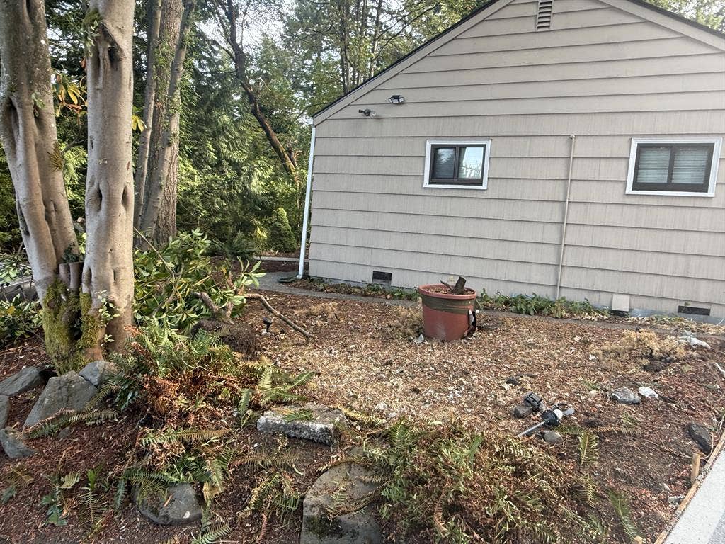 3 bed 1 bath Home in Burien