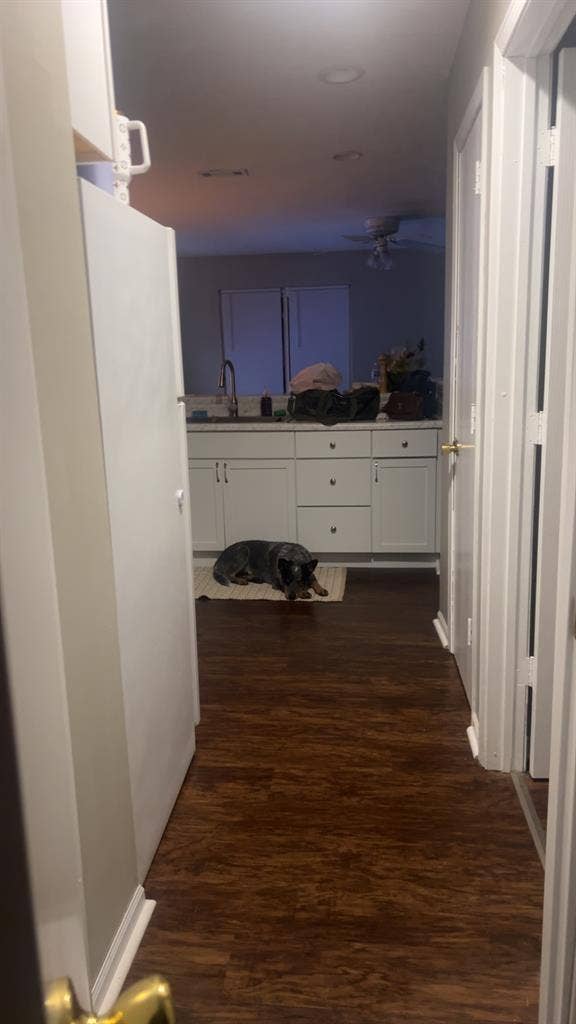 Looking for a roommate.