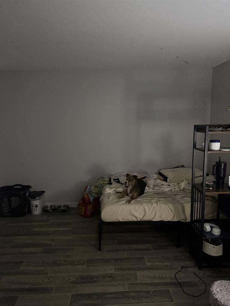 Renting a room, need roommate ASAP