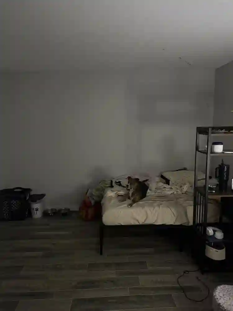 Renting a room, need roommate ASAP