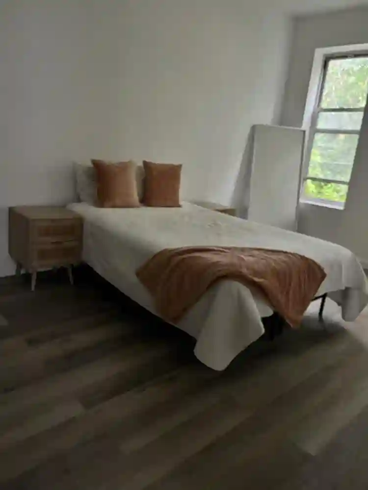 Roommates Dream Modern Affordable