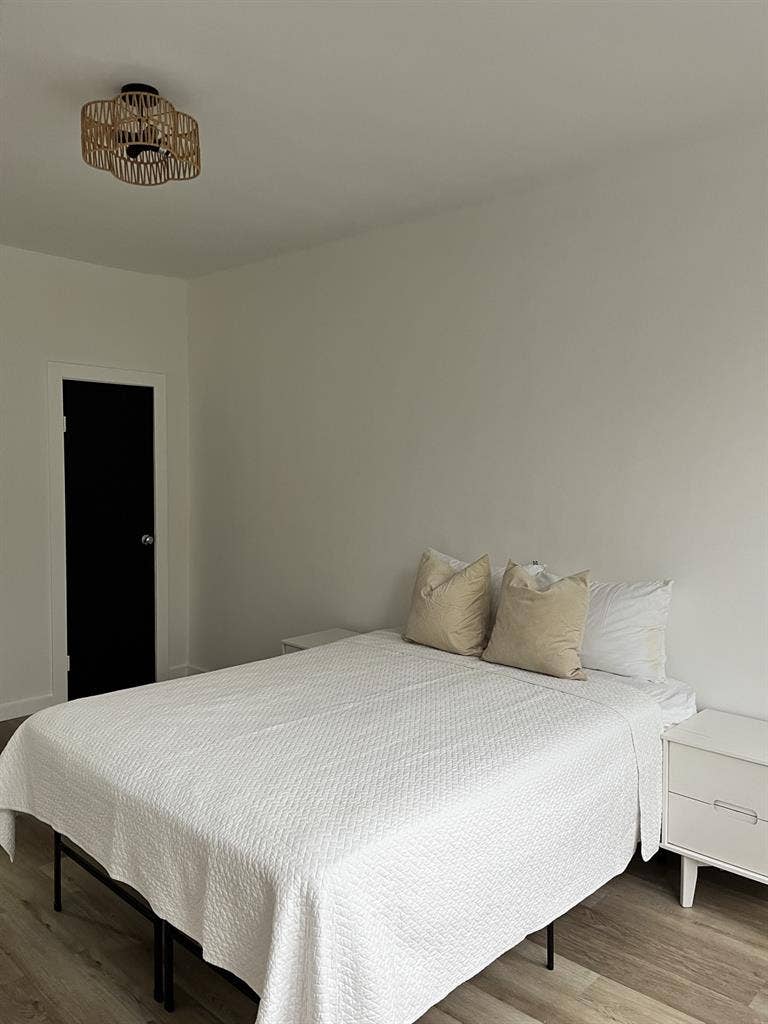 Roommates Dream Modern Affordable