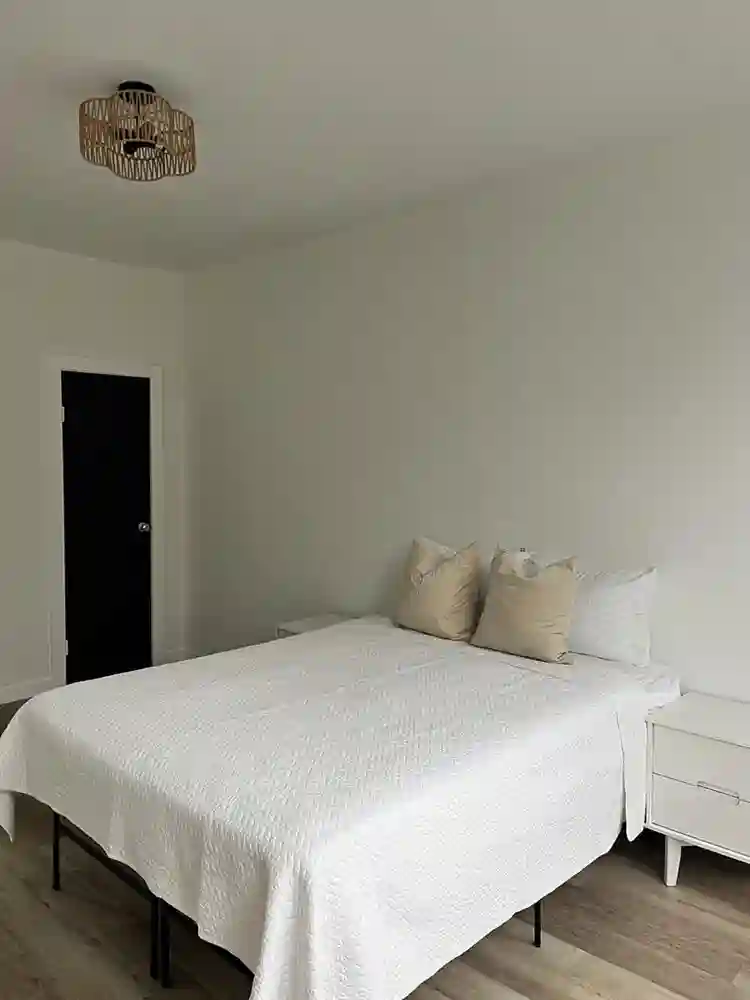 Roommates Dream Modern Affordable