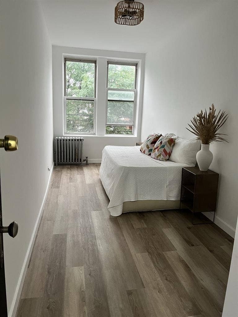 Roommates Dream Modern Affordable