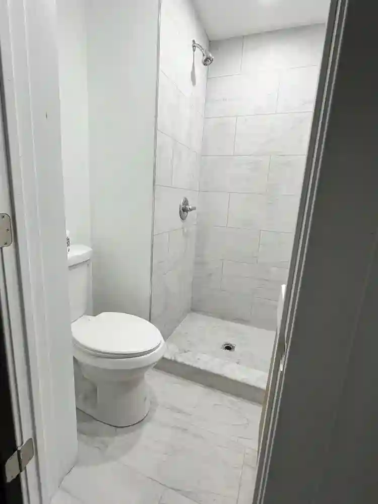 Roommates Dream Modern Affordable