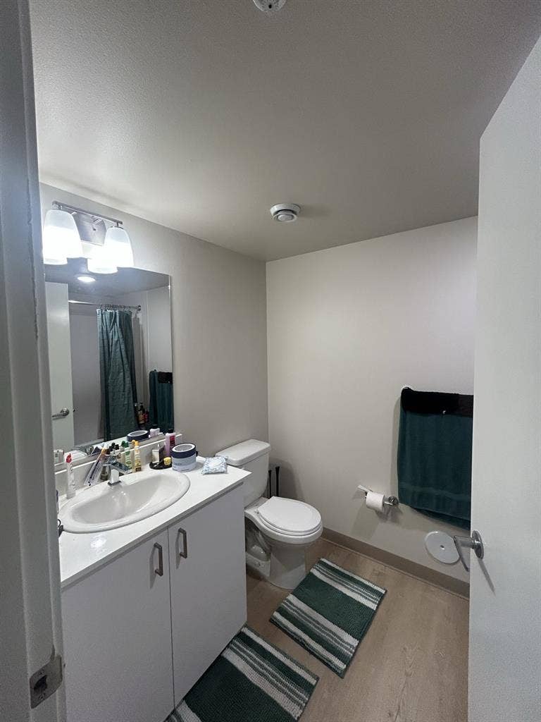 Need a roommate asap