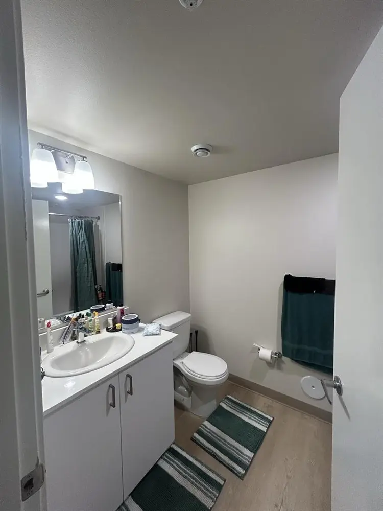 Need a roommate asap