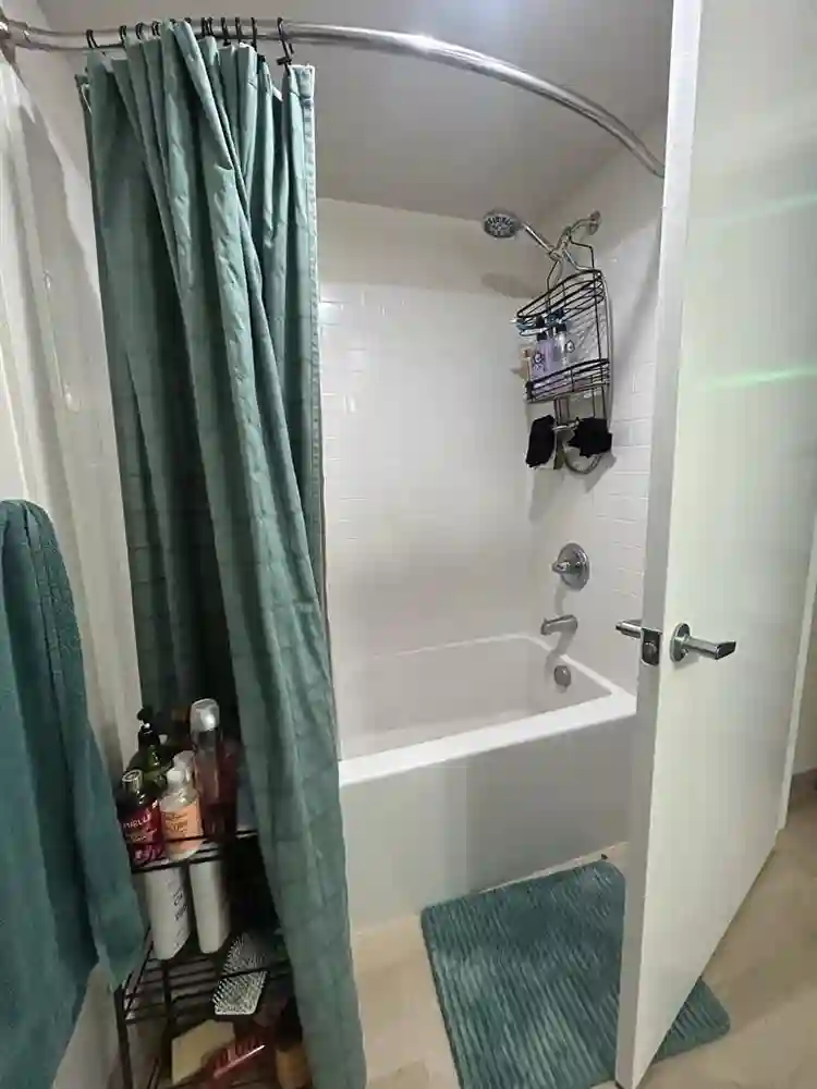 Need a roommate asap