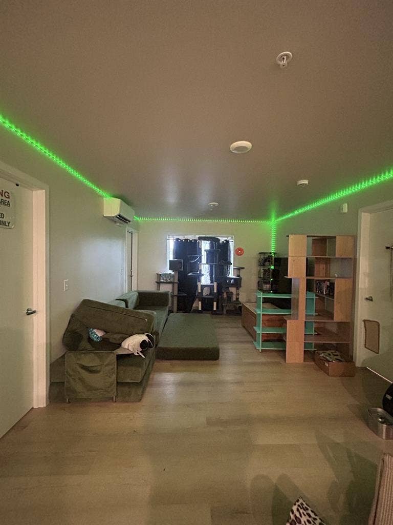 Need a roommate asap