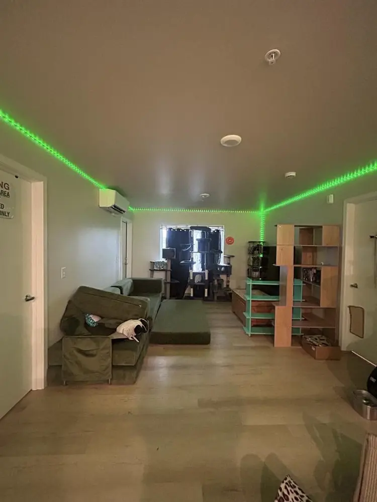 Need a roommate asap